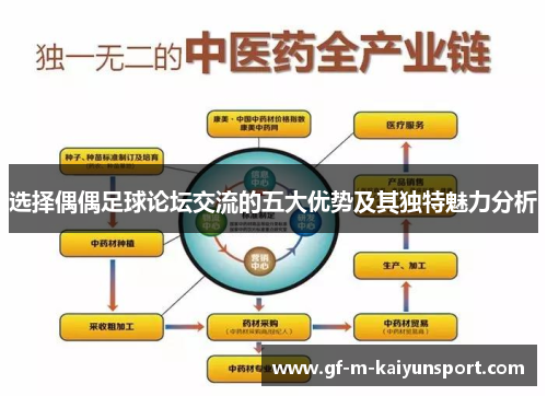 选择偶偶足球论坛交流的五大优势及其独特魅力分析