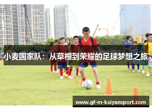 小麦国家队：从草根到荣耀的足球梦想之旅