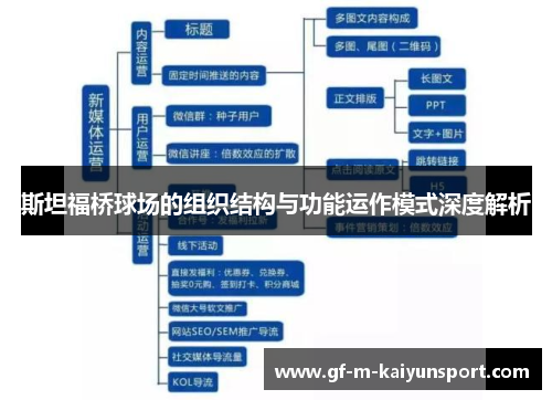 斯坦福桥球场的组织结构与功能运作模式深度解析