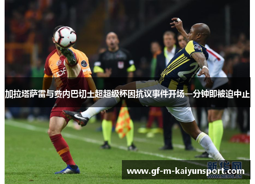 加拉塔萨雷与费内巴切土超超级杯因抗议事件开场一分钟即被迫中止