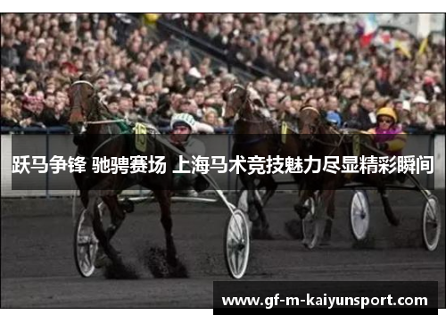跃马争锋 驰骋赛场 上海马术竞技魅力尽显精彩瞬间 跃马争锋 驰骋赛场 上海马术竞技魅力尽显精彩瞬间